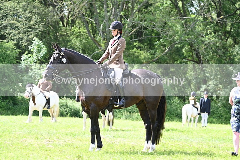 WJ7_1474 - Class 11 Condition & Turnout