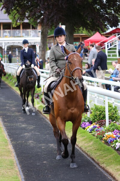 yr22052022r8e-70 - ROR - Parade Ring York