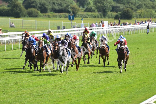 yr12062021r4-16 - Race 4 3.40pm The Pavers Foundation Catherine Memorial Sprint Stakes