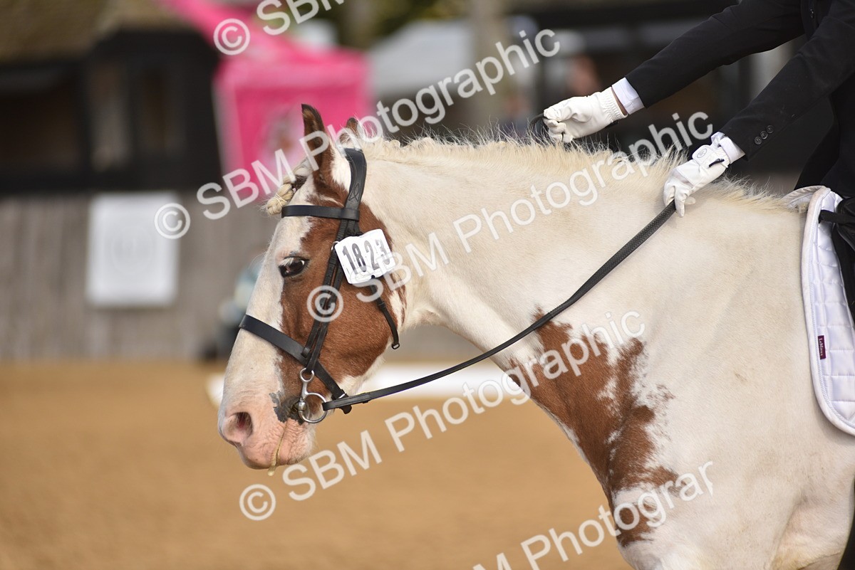 SBM_48866 - D22 - Junior Championship Intro 3