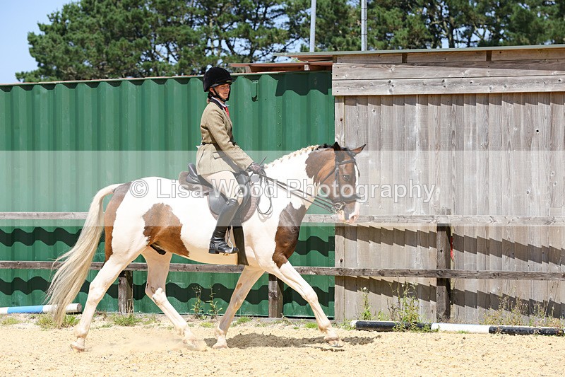 1X9A8773 - Class 19: Riding Club Horse