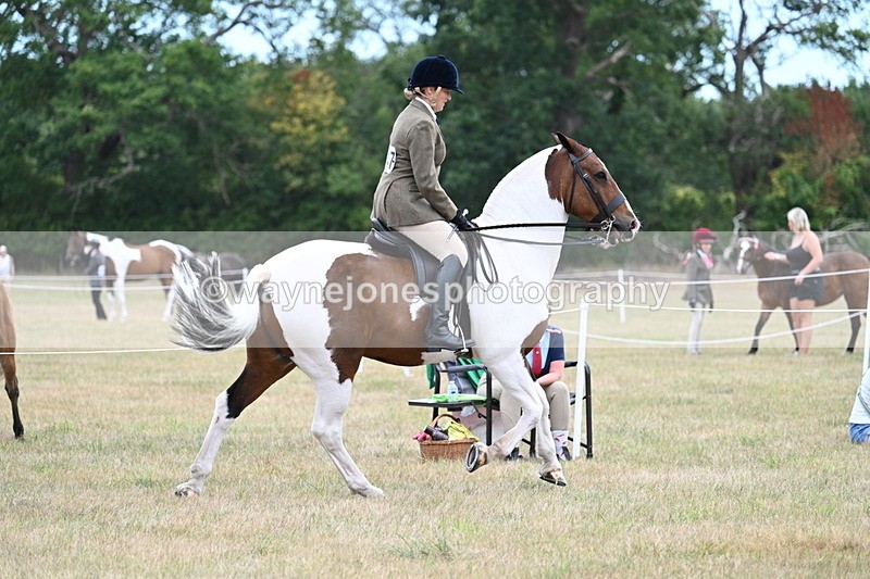 WJ7_4898 - Class 12 Ridden Cob