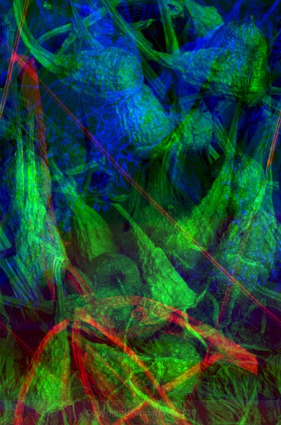 STILL LIFE-CYCLE - STILL LIFE-CYCLE I 2012