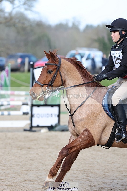 250209A-120603-01041 - 80cm 11.10 to End