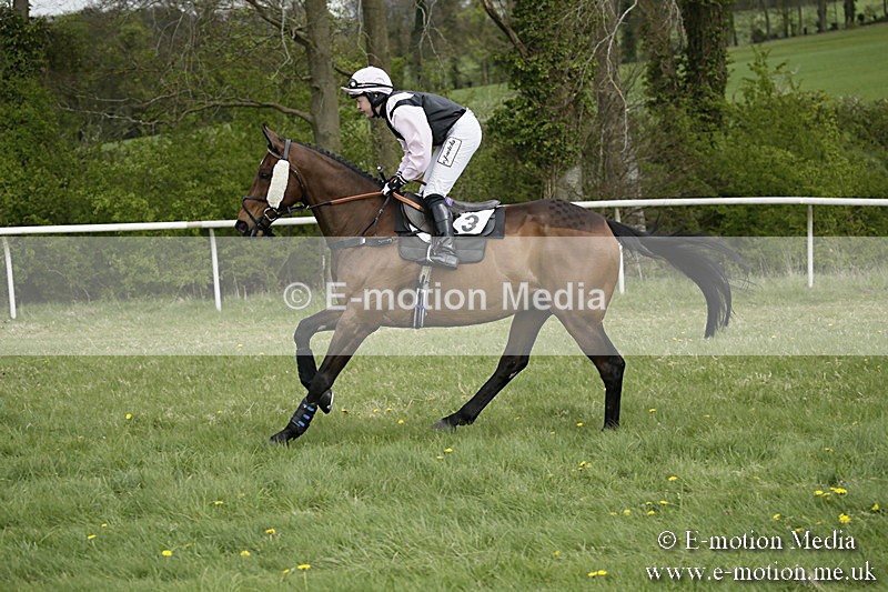 PtP 170417 130 - Old Berks Point-to-Point Lockinge 17/04/17