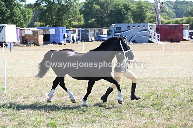 WJ6_4557 - Class 17 Mountain & Moorland