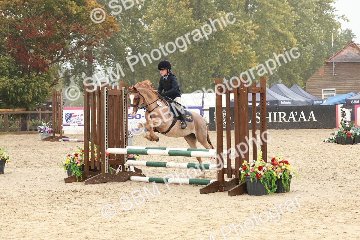 SBM_73335 - Supreme Championship Junior Pony 60cm & 65cm