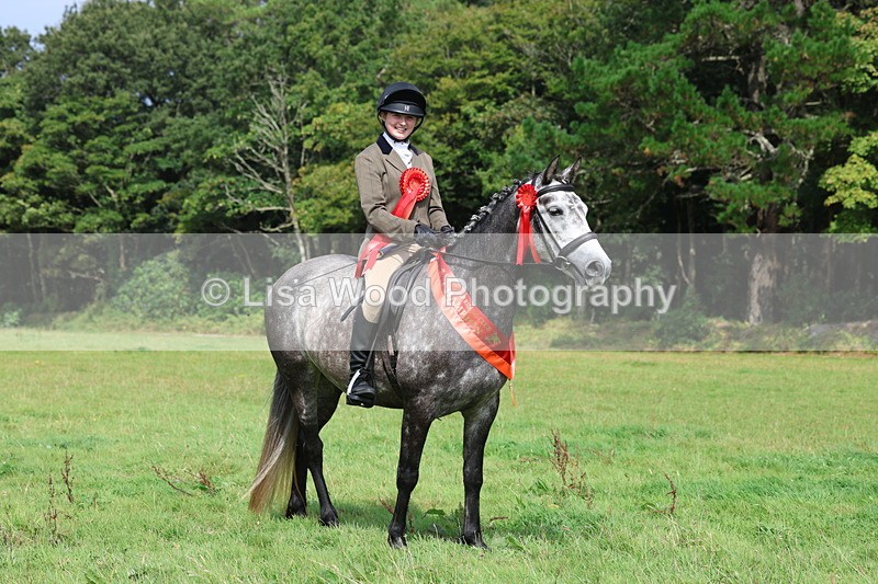 3E7A6165 - Working Hunter Championship