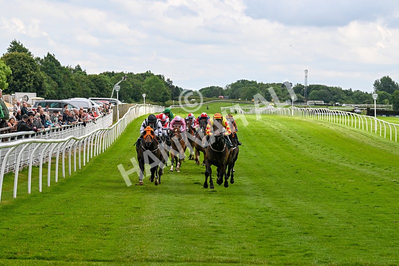 180624-Race 3-High Opinion-0293 - Race 3