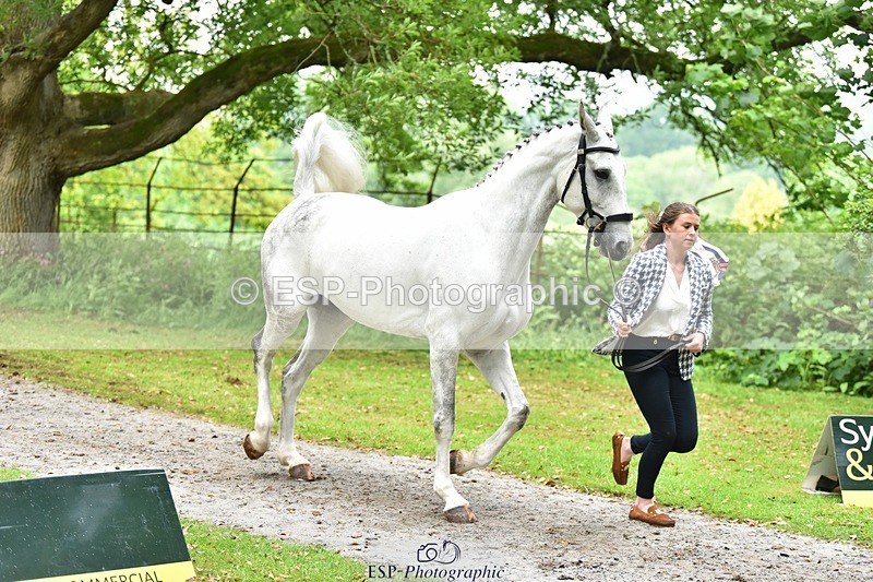 240522-170758-01409 - 239-KATE_BLUE-Millie_Juleff