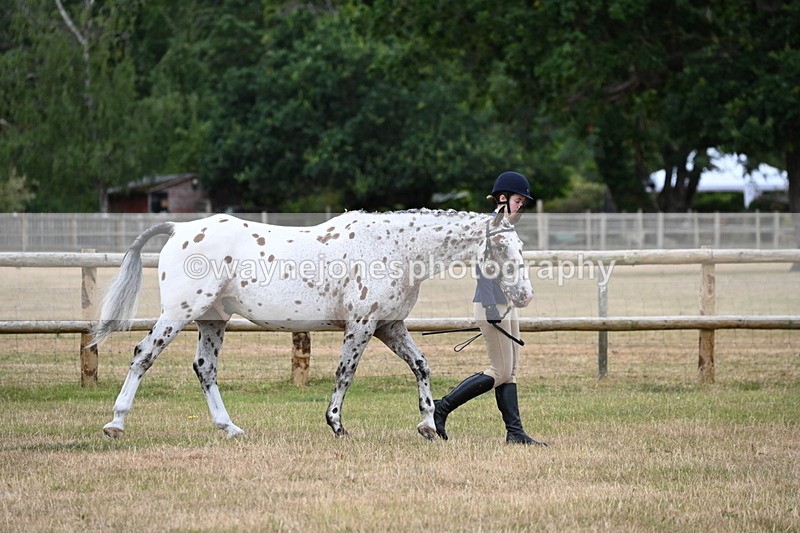WJ6_4133 - Class 10 Coloured In-hand