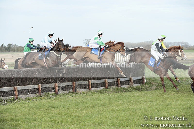 PtP 230319 431 - VWH Hunt Siddington Point-to-Point Racing 23/03/19