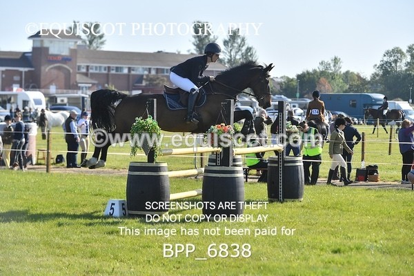BPP_6838 - CLASS 1 Senior Newcomers/ 1.10m Open