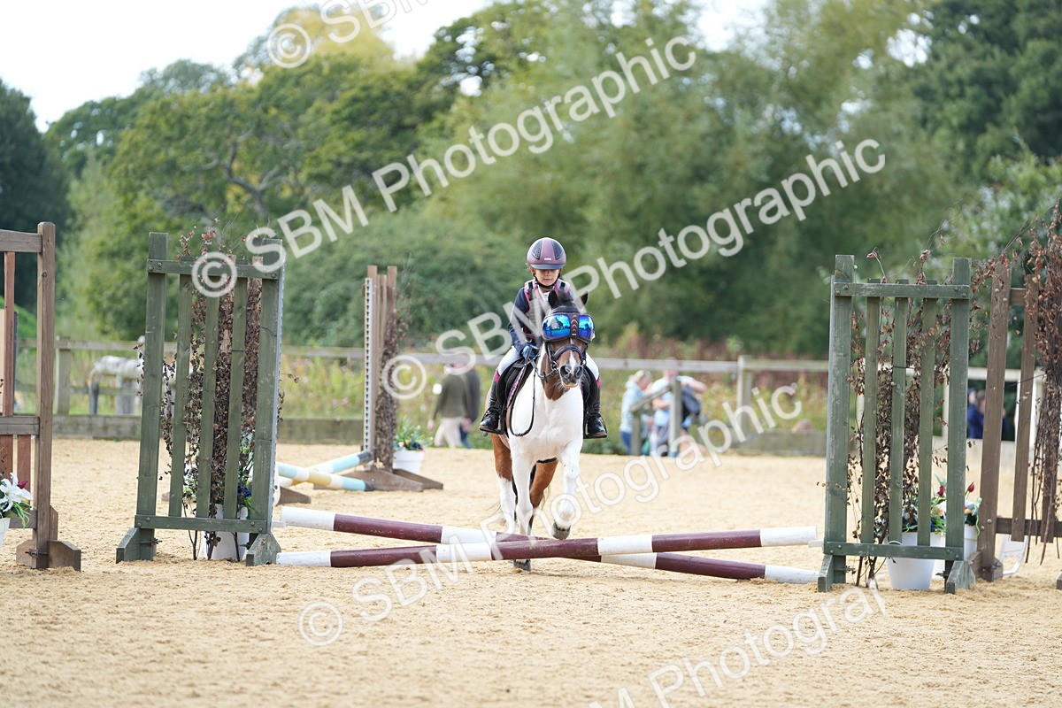 SBM_64431 - J2 - Mini Tour Junior Pony 30cm Championship