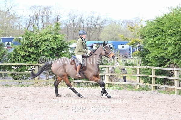 BPP_6909 - RING 1  (RIDDEN HORSES / IN HAND / VETERAN ETC)