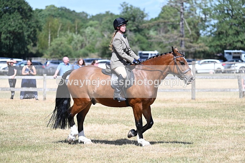 WJ7_3477 - Class 8 Ridden Veterans