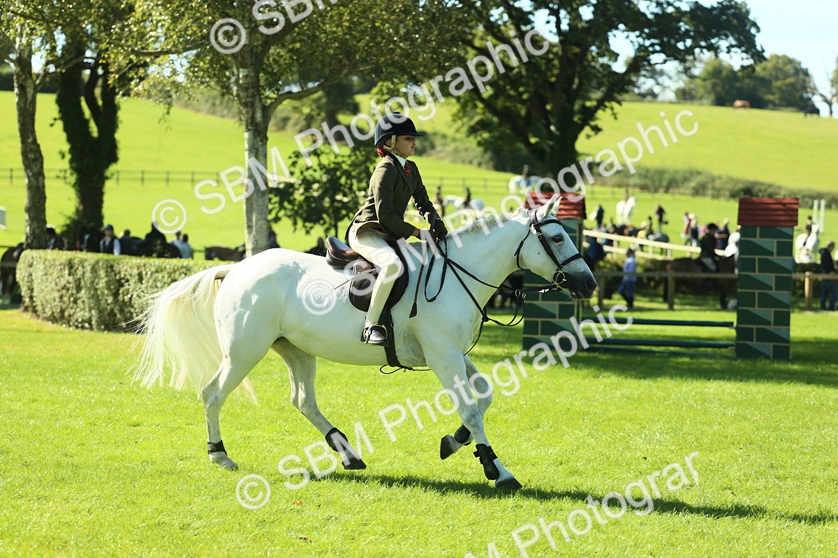 SBM_39127 - S29 - Novice & Newcomers Working Hunter Pony