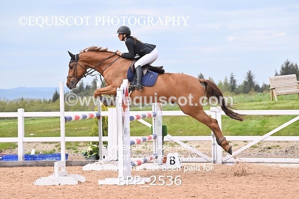 BPP_2536 - CLASS 7 - FRI - Senior Foxhunter/1.20m Open