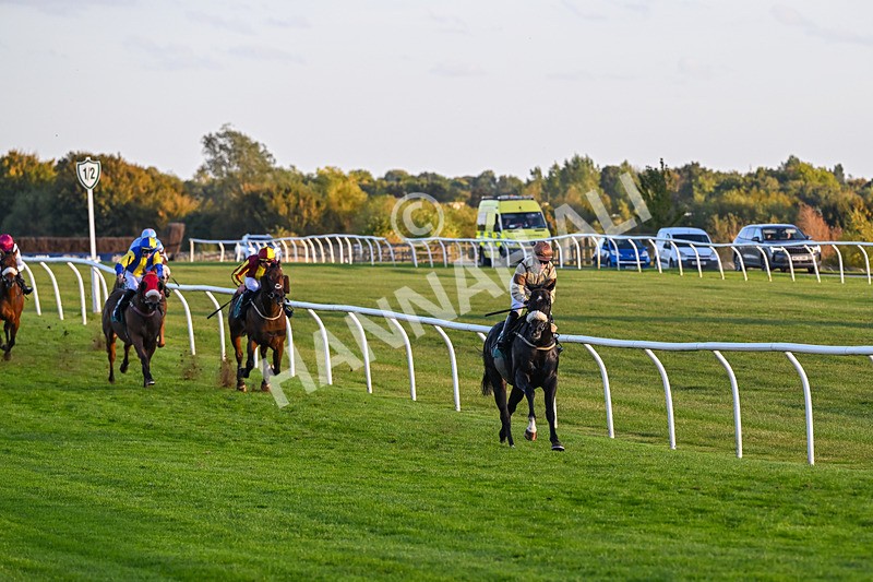 300926-Race 8-Jojo Rabbit-7172 - Race 8 5.55pm Racing Again 17th October Amateur Jockeys' Handicap