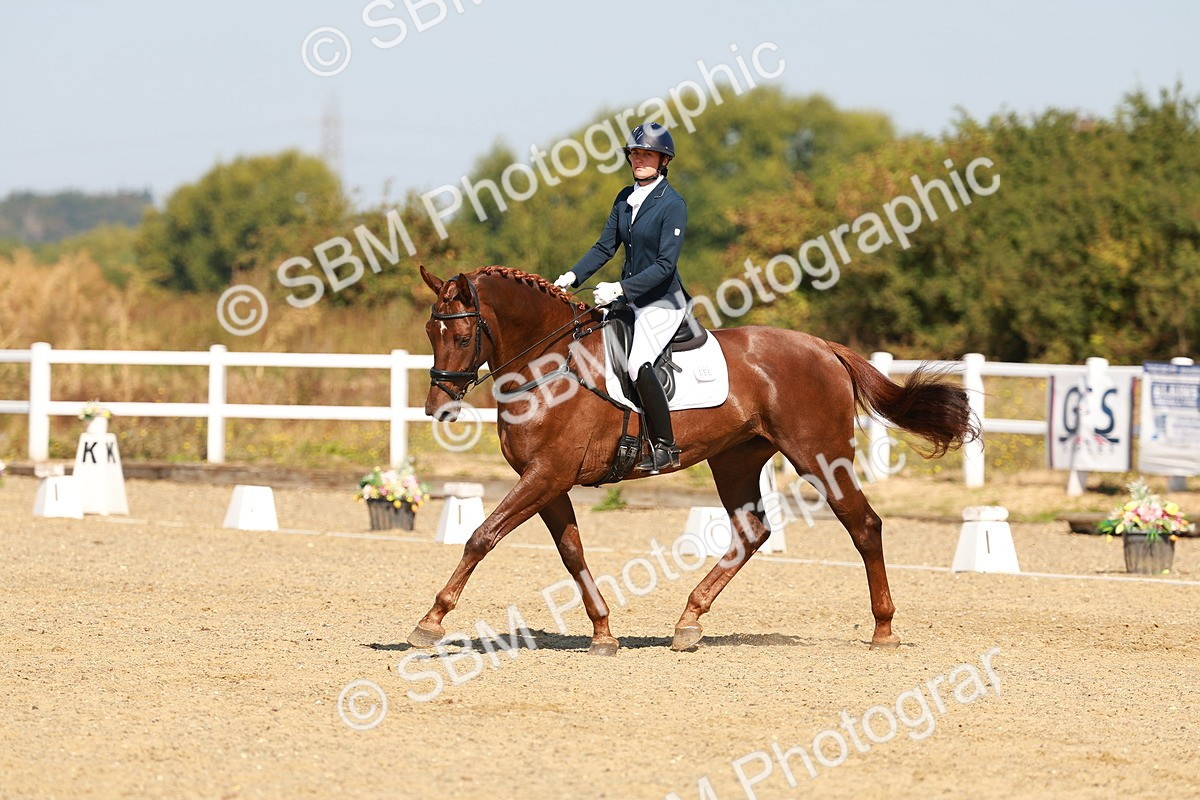 SBM_017511 - Class 9 - N5 Bronze 10.33.11.36