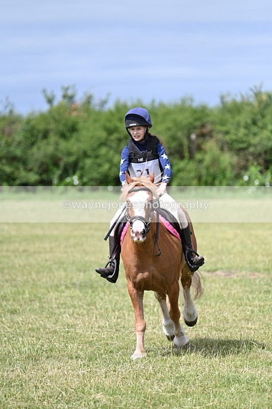 WJ7_5605 - 80cm XC Pairs