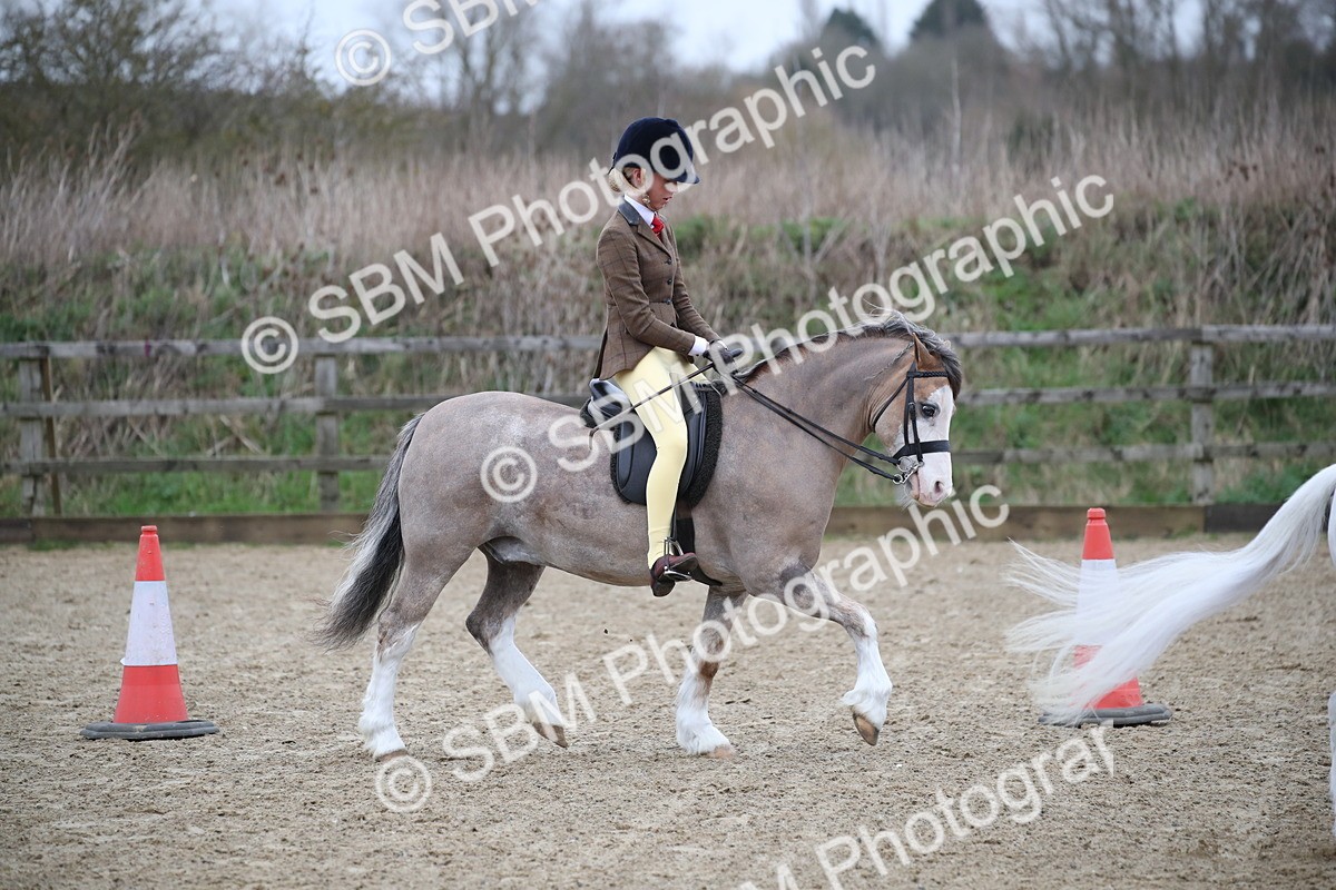 SBM_005904 - Class 10-13 - RIHS Small Large Breeds