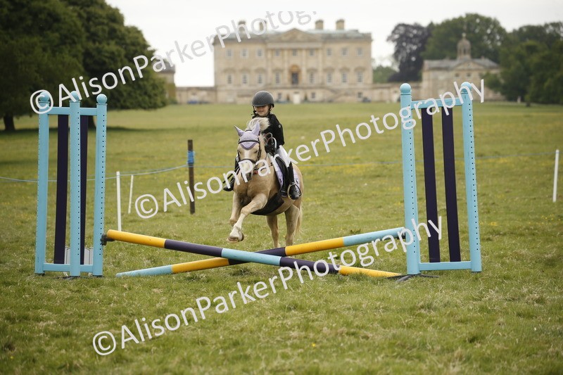 20250517-0912 - Class 2 - 30cm Off Lead Rein