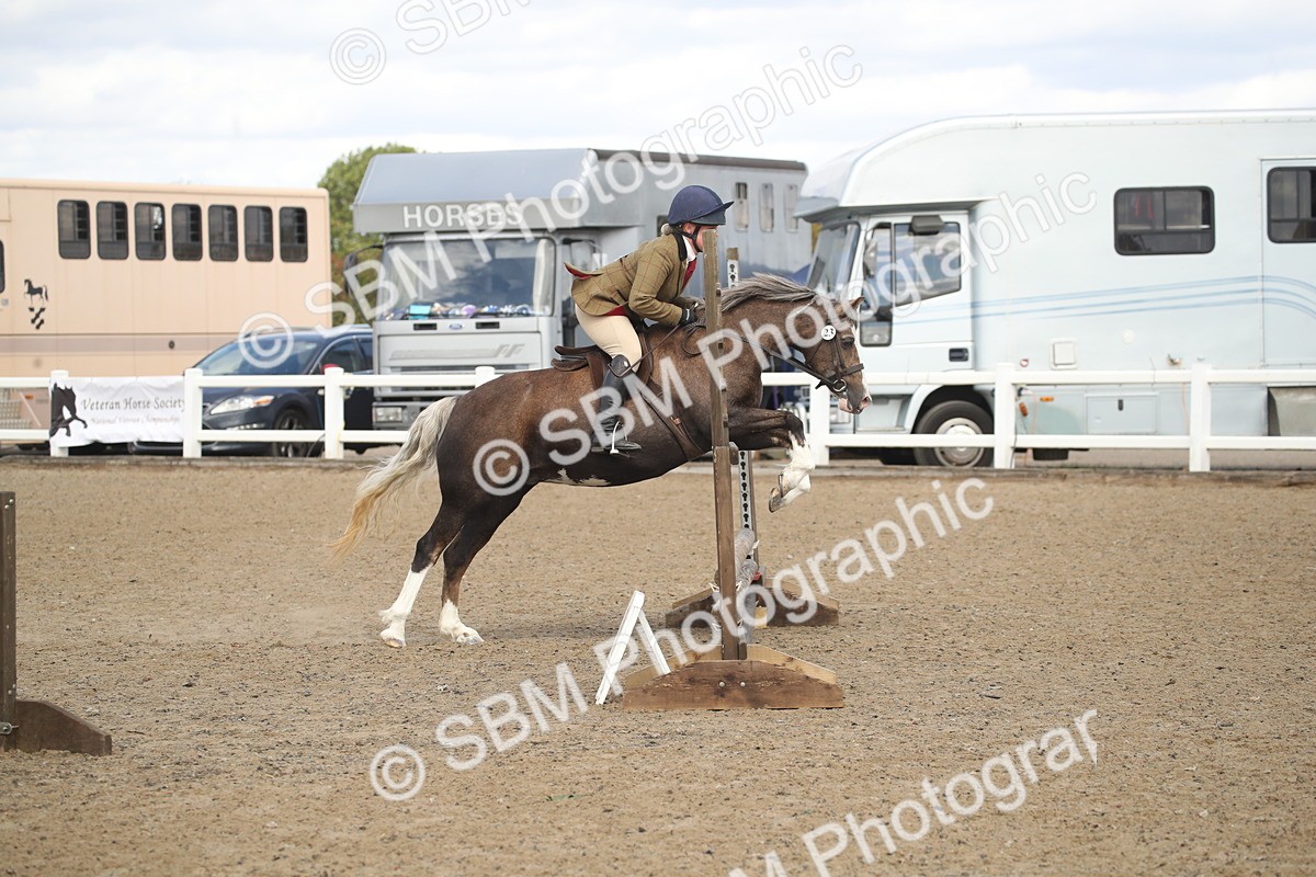 SBM_15174 - Class 505b - M&M Working Veteran - 50cm (20+)