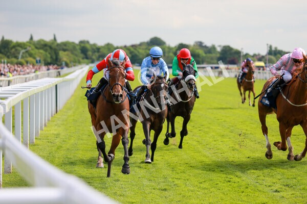 yr21052022r4-30 - Race 4: 3:30pm William Hill Brontë Cup