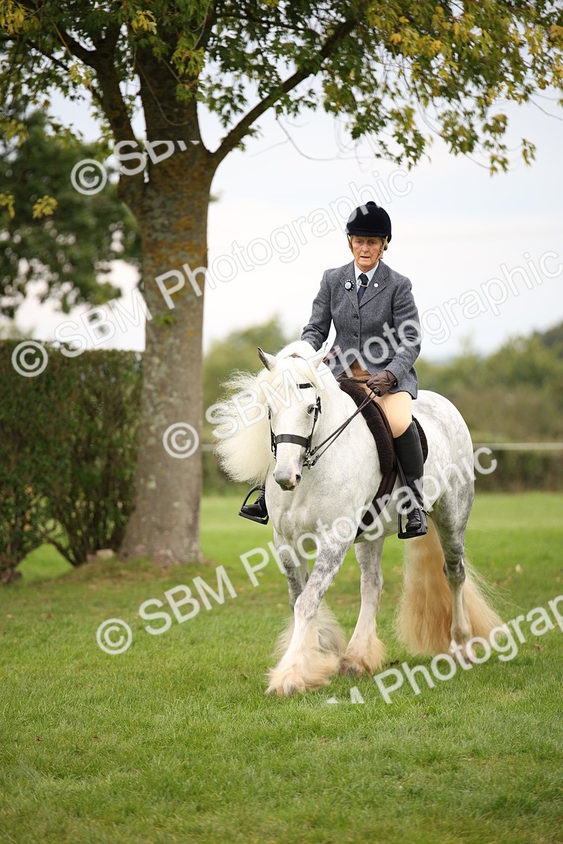 SBM_73475 - S68 - Traditional Cob Ridden