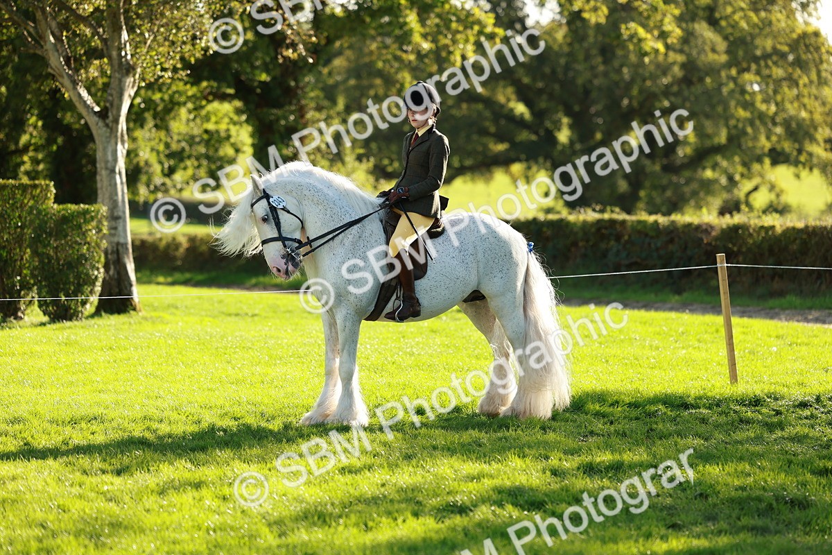 SBM_28733 - S7 - Novice & Newcomer Ridden Pony