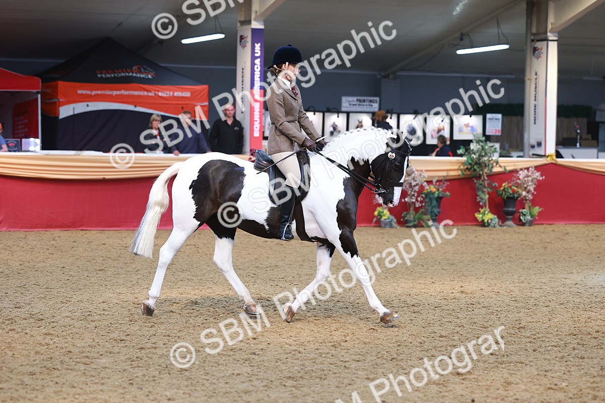 SBM_10593 - Class 103 - HOYS Veteran Qualifier - Ridden Pre Vet