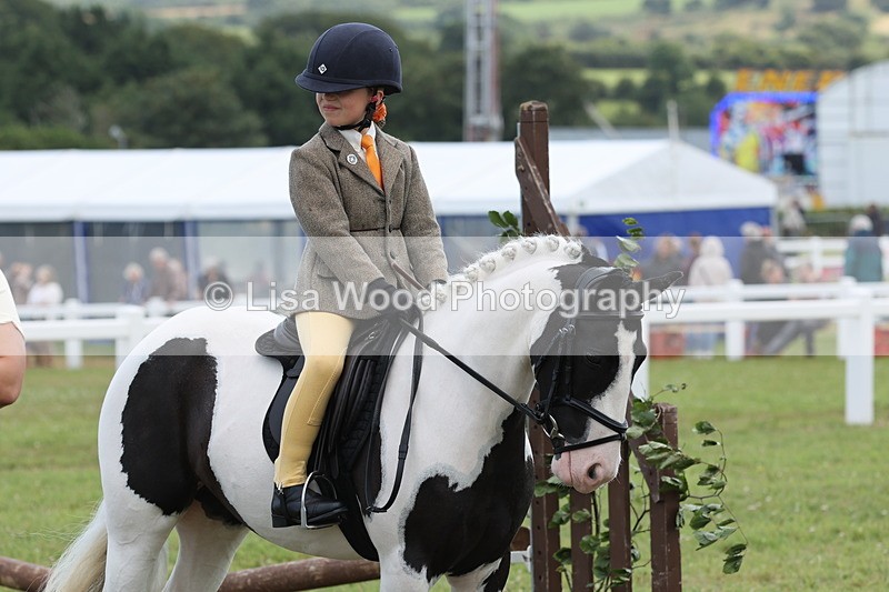 JPP_1910 - Class 18: Tiny Tots Working Hunter Pony