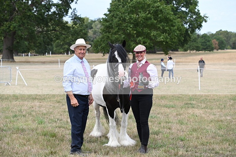 WJ6_5823 - Class 18 In-hand Coloured