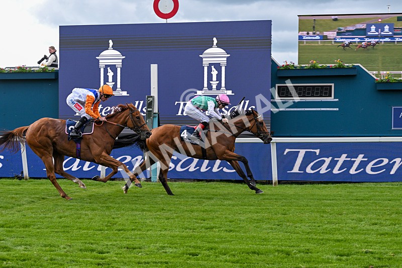 130526-Race 5-Legacy Link-3268 - Race 5 4.05pm Tattersalls Musidora Stakes