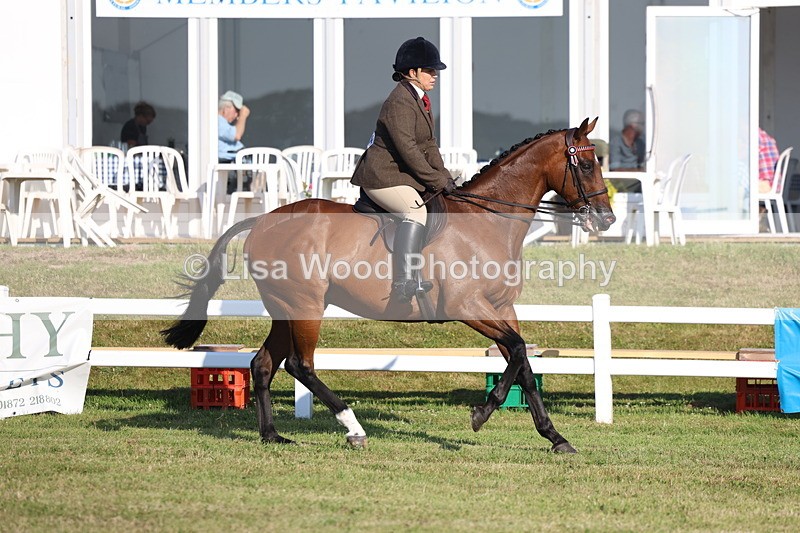 3E7A4945 - Class 1: Rising Star Small Hack/Riding Horses