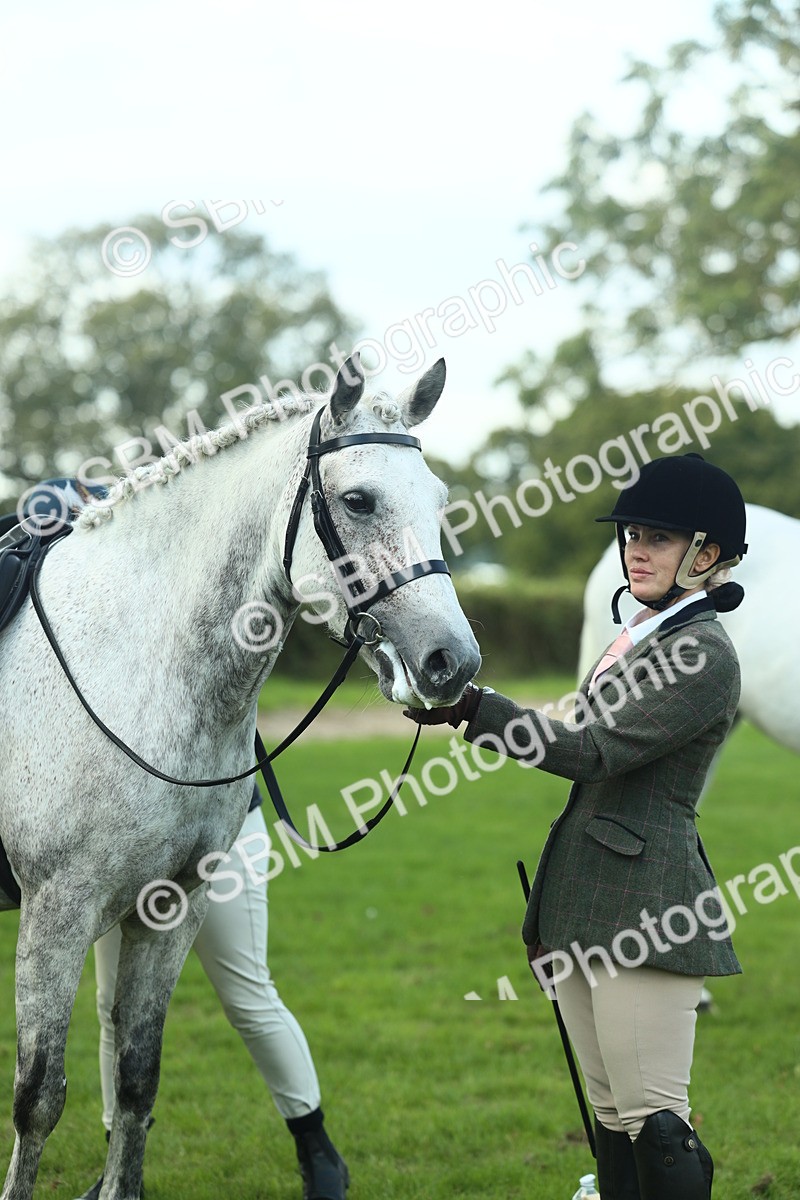 SBM_50742 - S33 - Working Hunter & Working Show Horse