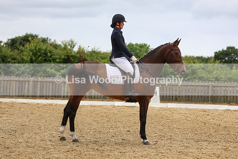 3E7A0785 - Class 5: Novice 1 2024 Section A