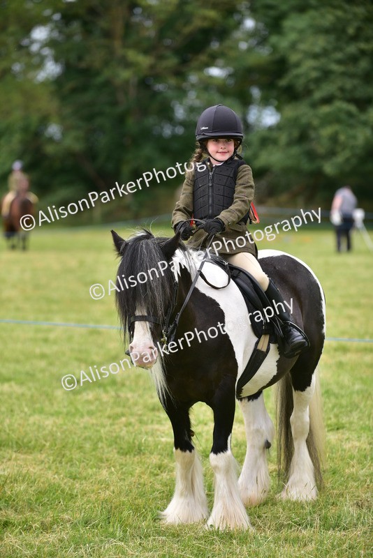 20260614-3707 - Class 15 - Prettiest Mare