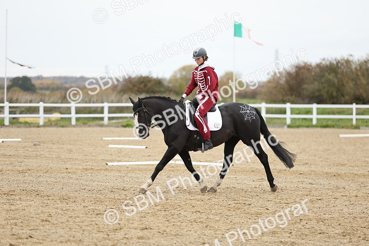 SBM_003699 - Class 9-12 - Novice 2 Elementary 3