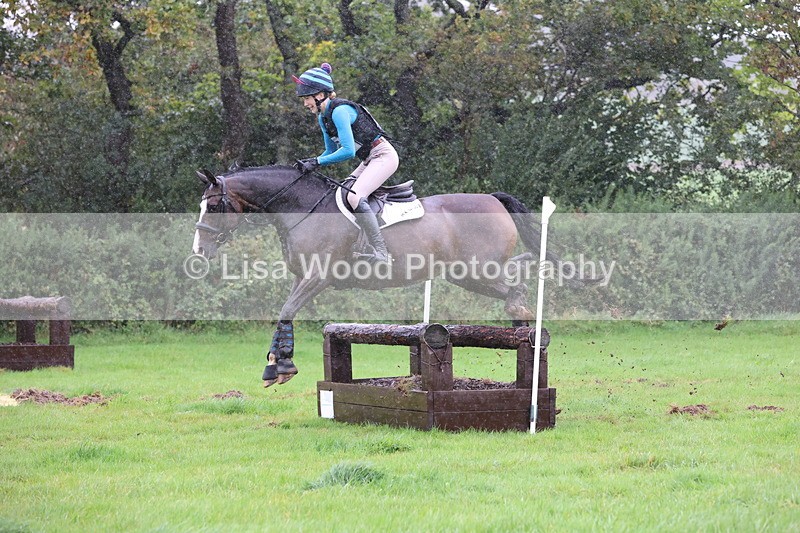 JPP_5430 - Class 4: 80cm: Crossed Logs