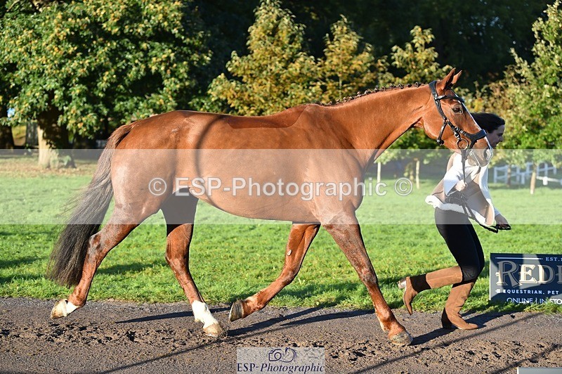 231022-091512-21648 - 667-BAILE.NA.CROISE-Emma.Pine-TrotUp+SJ