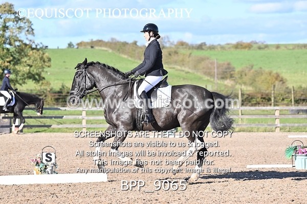 BPP_9065 - LONG ARENA
