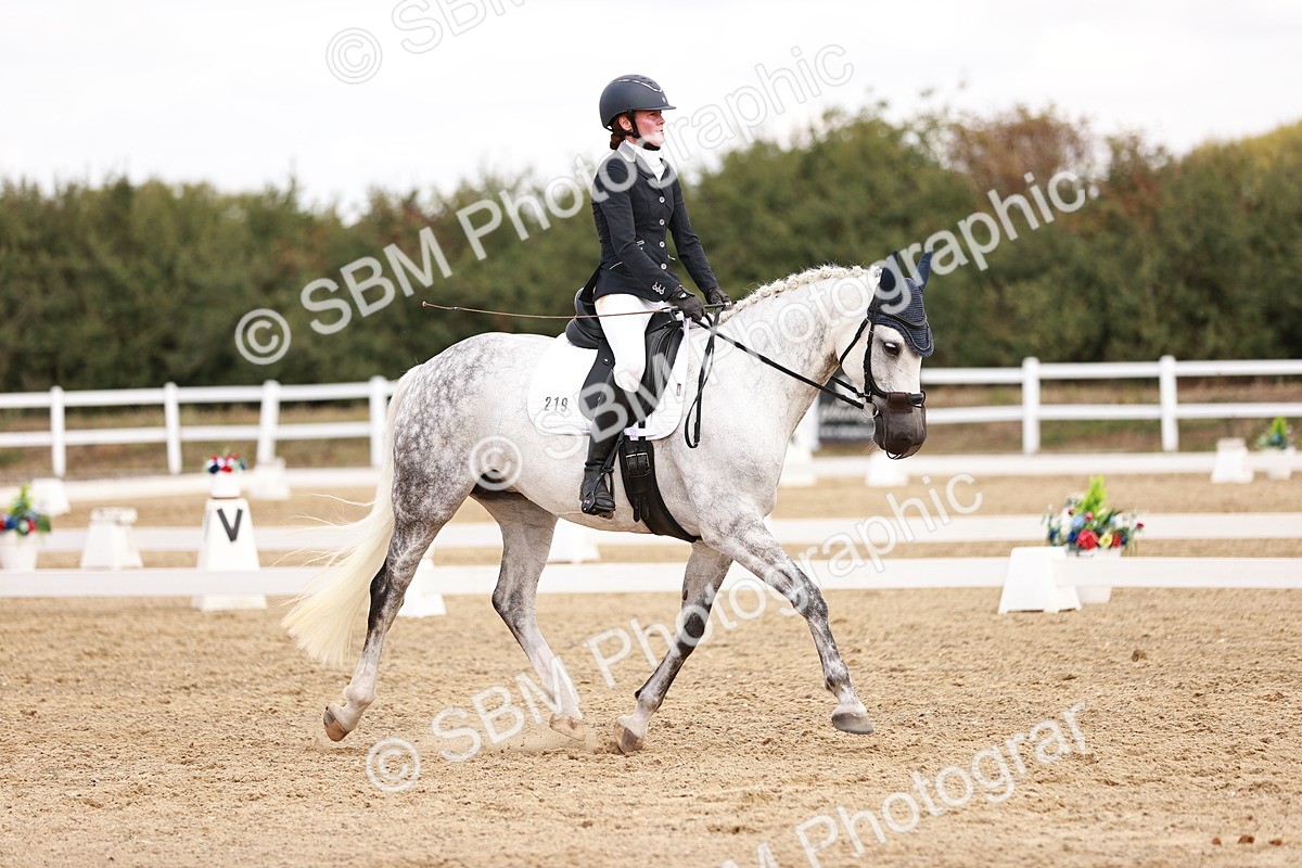 SBM_018012 - Class 15 - Prelim 6