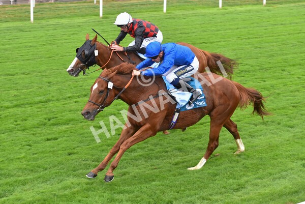 yr22072022r2-39 - Race 2 5.50pm eventmasters.co.uk Stakes