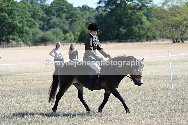 WJ7_3968 - Class 9 Mountain & Moorland Ridden
