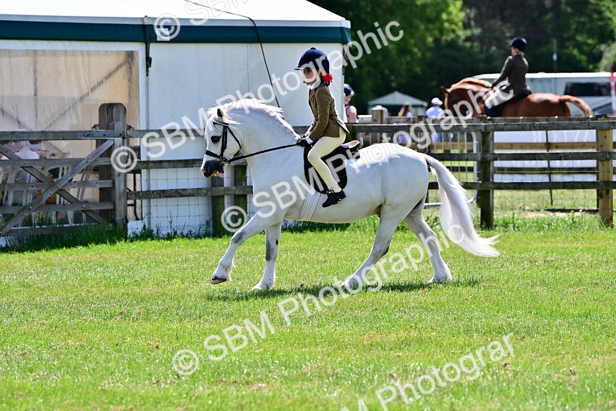 SBM_06080 - Class 59-60 - TSR M&M  Lear Rein and First Ridden Amateur of the year
