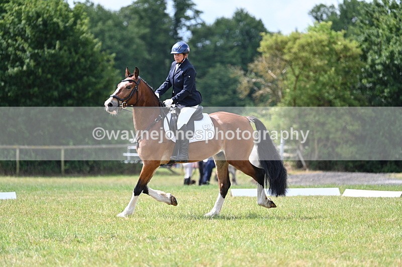 WJ7_4534 - Time 10:59 to 11:17