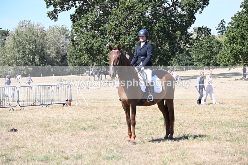 WJ6_8993 - Class 38 Ridden Riding Horse/Pony