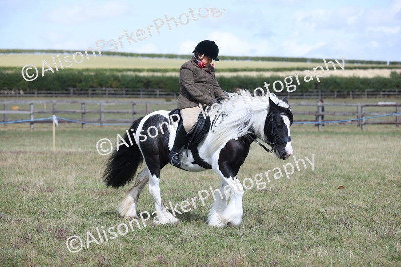 20250831-4194 - Class 20 - Ridden Coloured